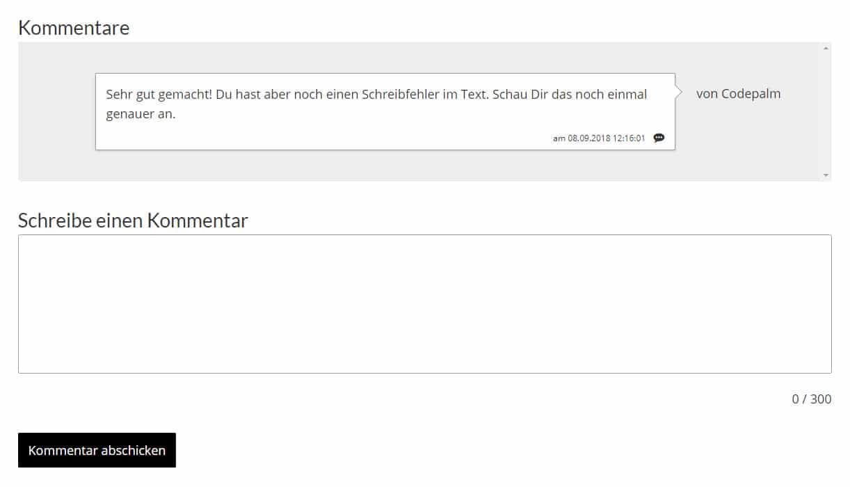 Berichtsheft Kommentare